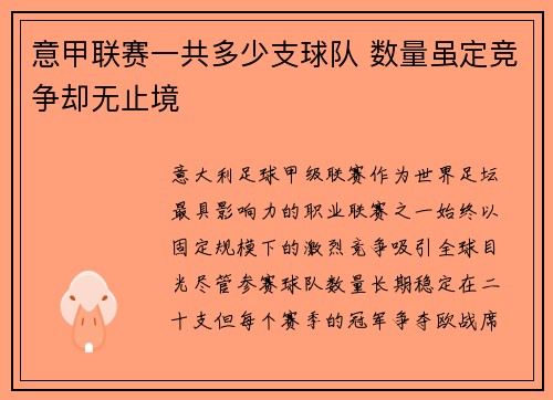 意甲联赛一共多少支球队 数量虽定竞争却无止境