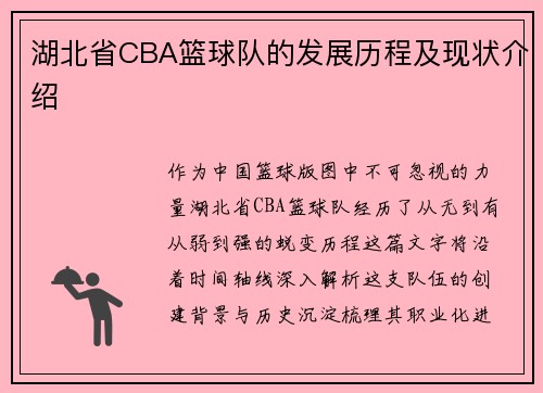 湖北省CBA篮球队的发展历程及现状介绍